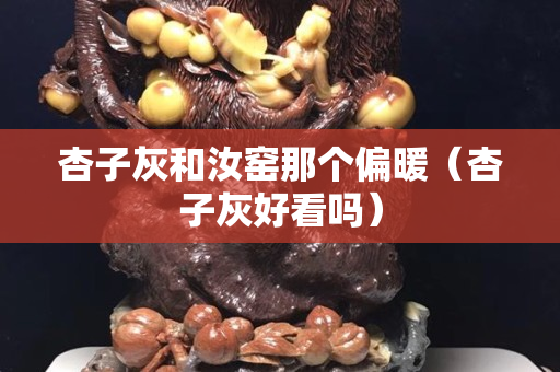 杏子灰和汝窑那个偏暖（杏子灰好看吗）