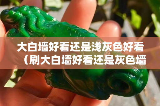 大白墙好看还是浅灰色好看（刷大白墙好看还是灰色墙）