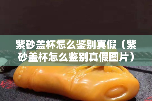 紫砂盖杯怎么鉴别真假（紫砂盖杯怎么鉴别真假图片）