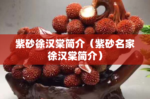 紫砂徐汉棠简介（紫砂名家徐汉棠简介）