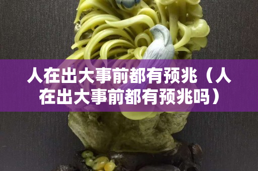人在出大事前都有预兆（人在出大事前都有预兆吗）
