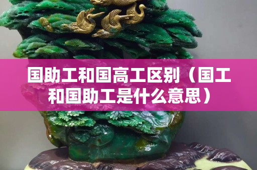 国助工和国高工区别（国工和国助工是什么意思）