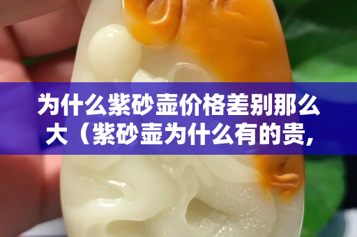 为什么紫砂壶价格差别那么大（紫砂壶为什么有的贵,有的便宜）