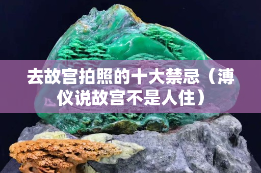 去故宫拍照的十大禁忌（溥仪说故宫不是人住）