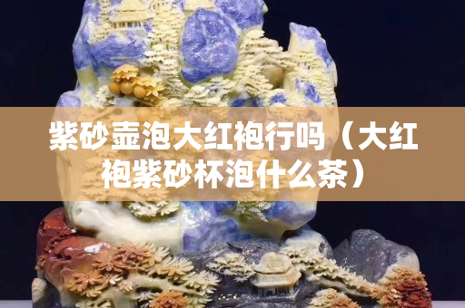紫砂壶泡大红袍行吗（大红袍紫砂杯泡什么茶）