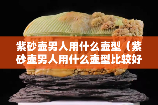 紫砂壶男人用什么壶型（紫砂壶男人用什么壶型比较好）