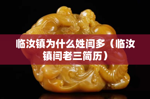 临汝镇为什么姓闫多（临汝镇闫老三简历）
