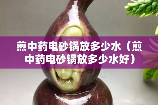 煎中药电砂锅放多少水（煎中药电砂锅放多少水好）