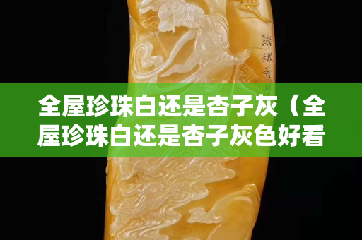 全屋珍珠白还是杏子灰（全屋珍珠白还是杏子灰色好看）