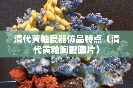 清代黄釉瓷器仿品特点（清代黄釉陶罐图片）