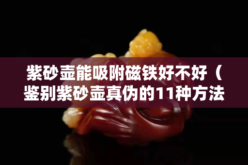 紫砂壶能吸附磁铁好不好（鉴别紫砂壶真伪的11种方法）