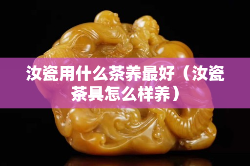 汝瓷用什么茶养最好（汝瓷茶具怎么样养）