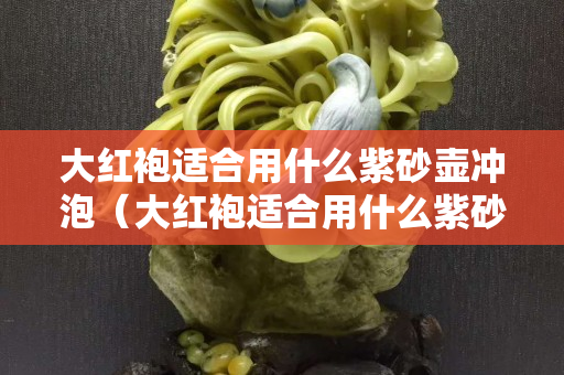 大红袍适合用什么紫砂壶冲泡（大红袍适合用什么紫砂壶冲泡好）