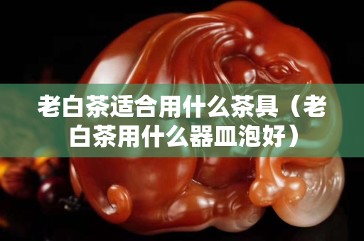 老白茶适合用什么茶具（老白茶用什么器皿泡好）