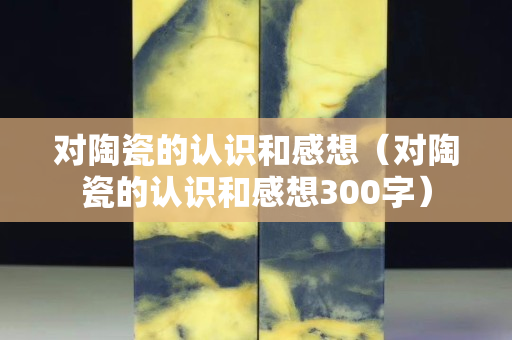 对陶瓷的认识和感想（对陶瓷的认识和感想300字）