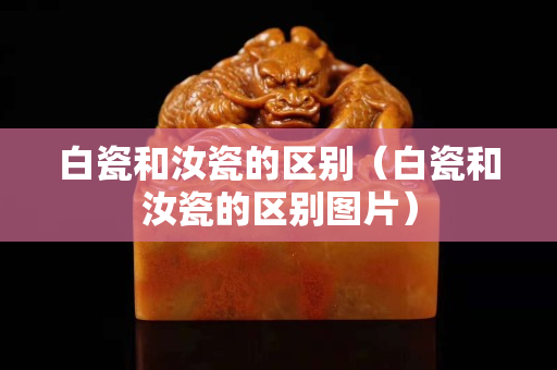 白瓷和汝瓷的区别（白瓷和汝瓷的区别图片）