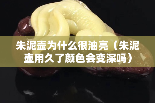 朱泥壶为什么很油亮（朱泥壶用久了颜色会变深吗）