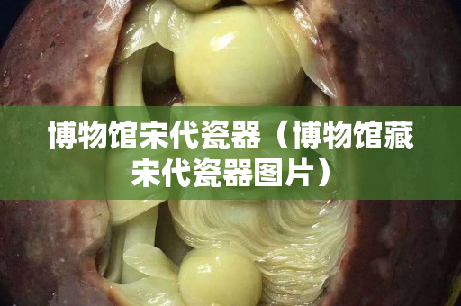 博物馆宋代瓷器（博物馆藏宋代瓷器图片）