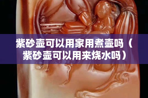 紫砂壶可以用家用煮壶吗（紫砂壶可以用来烧水吗）