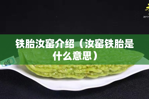 铁胎汝窑介绍（汝窑铁胎是什么意思）