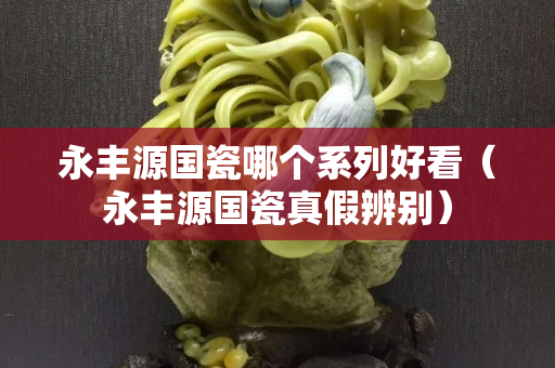 永丰源国瓷哪个系列好看（永丰源国瓷真假辨别）