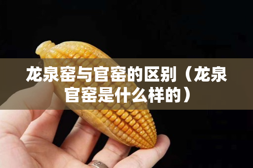 龙泉窑与官窑的区别（龙泉官窑是什么样的）