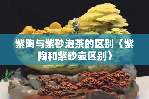 紫陶与紫砂泡茶的区别（紫陶和紫砂壶区别）