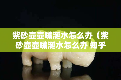 紫砂壶壶嘴涎水怎么办（紫砂壶壶嘴涎水怎么办 知乎）
