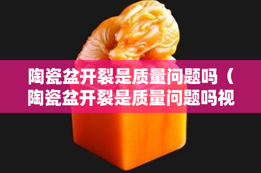 陶瓷盆开裂是质量问题吗（陶瓷盆开裂是质量问题吗视频）