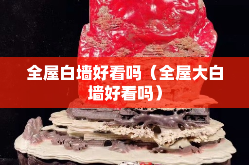 全屋白墙好看吗（全屋大白墙好看吗）