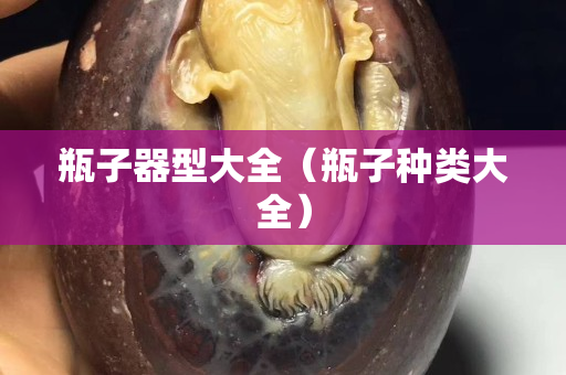 瓶子器型大全（瓶子种类大全）