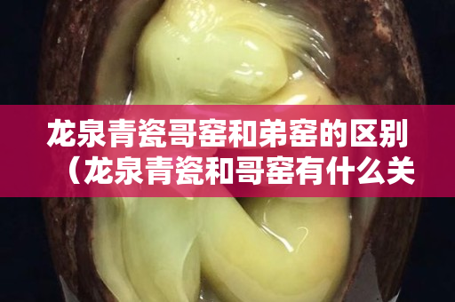 龙泉青瓷哥窑和弟窑的区别（龙泉青瓷和哥窑有什么关系）