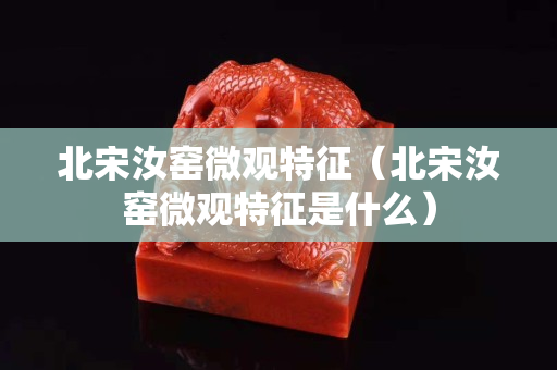 北宋汝窑微观特征（北宋汝窑微观特征是什么）