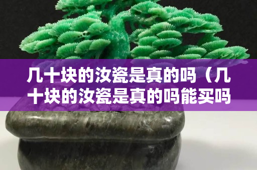 几十块的汝瓷是真的吗（几十块的汝瓷是真的吗能买吗）
