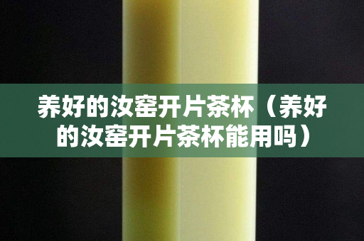 养好的汝窑开片茶杯（养好的汝窑开片茶杯能用吗）