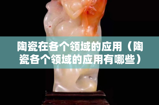 陶瓷在各个领域的应用（陶瓷各个领域的应用有哪些）