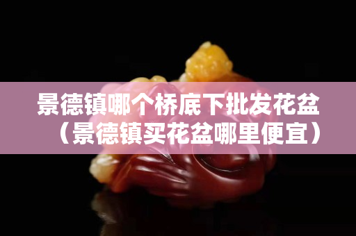景德镇哪个桥底下批发花盆（景德镇买花盆哪里便宜）