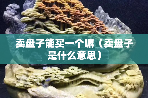 卖盘子能买一个嘛（卖盘子是什么意思）