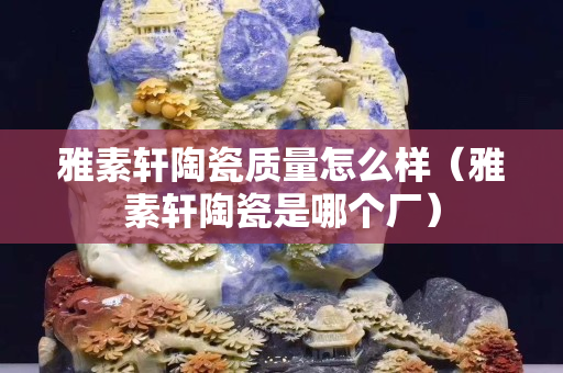 雅素轩陶瓷质量怎么样（雅素轩陶瓷是哪个厂）