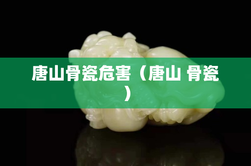 唐山骨瓷危害（唐山 骨瓷）