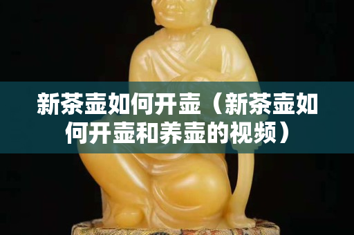 新茶壶如何开壶（新茶壶如何开壶和养壶的视频）