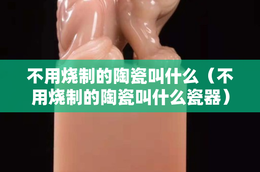 不用烧制的陶瓷叫什么（不用烧制的陶瓷叫什么瓷器）