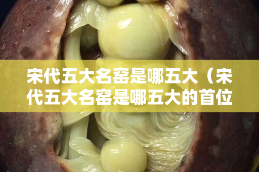 宋代五大名窑是哪五大（宋代五大名窑是哪五大的首位）