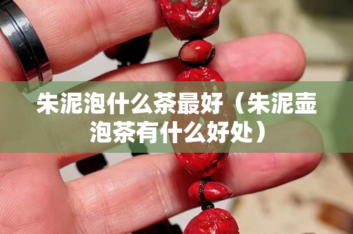 朱泥泡什么茶最好（朱泥壶泡茶有什么好处）