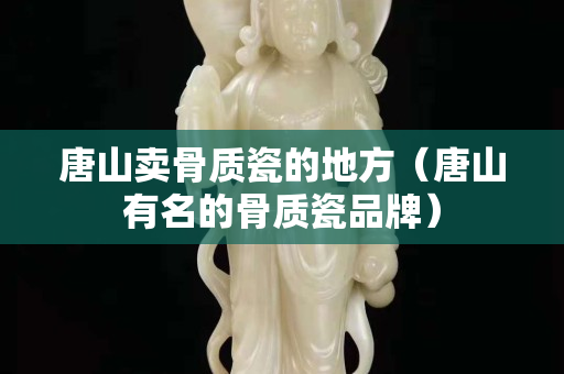 唐山卖骨质瓷的地方（唐山有名的骨质瓷品牌）