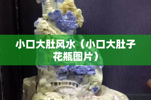 小口大肚风水（小口大肚子花瓶图片）