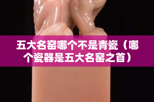 五大名窑哪个不是青瓷（哪个瓷器是五大名窑之首）