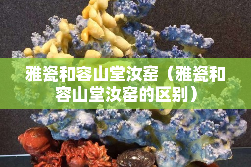 雅瓷和容山堂汝窑（雅瓷和容山堂汝窑的区别）