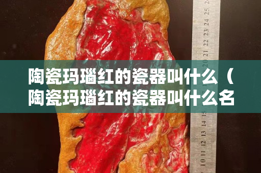 陶瓷玛瑙红的瓷器叫什么（陶瓷玛瑙红的瓷器叫什么名字）