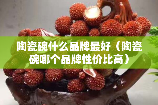 陶瓷碗什么品牌最好（陶瓷碗哪个品牌性价比高）